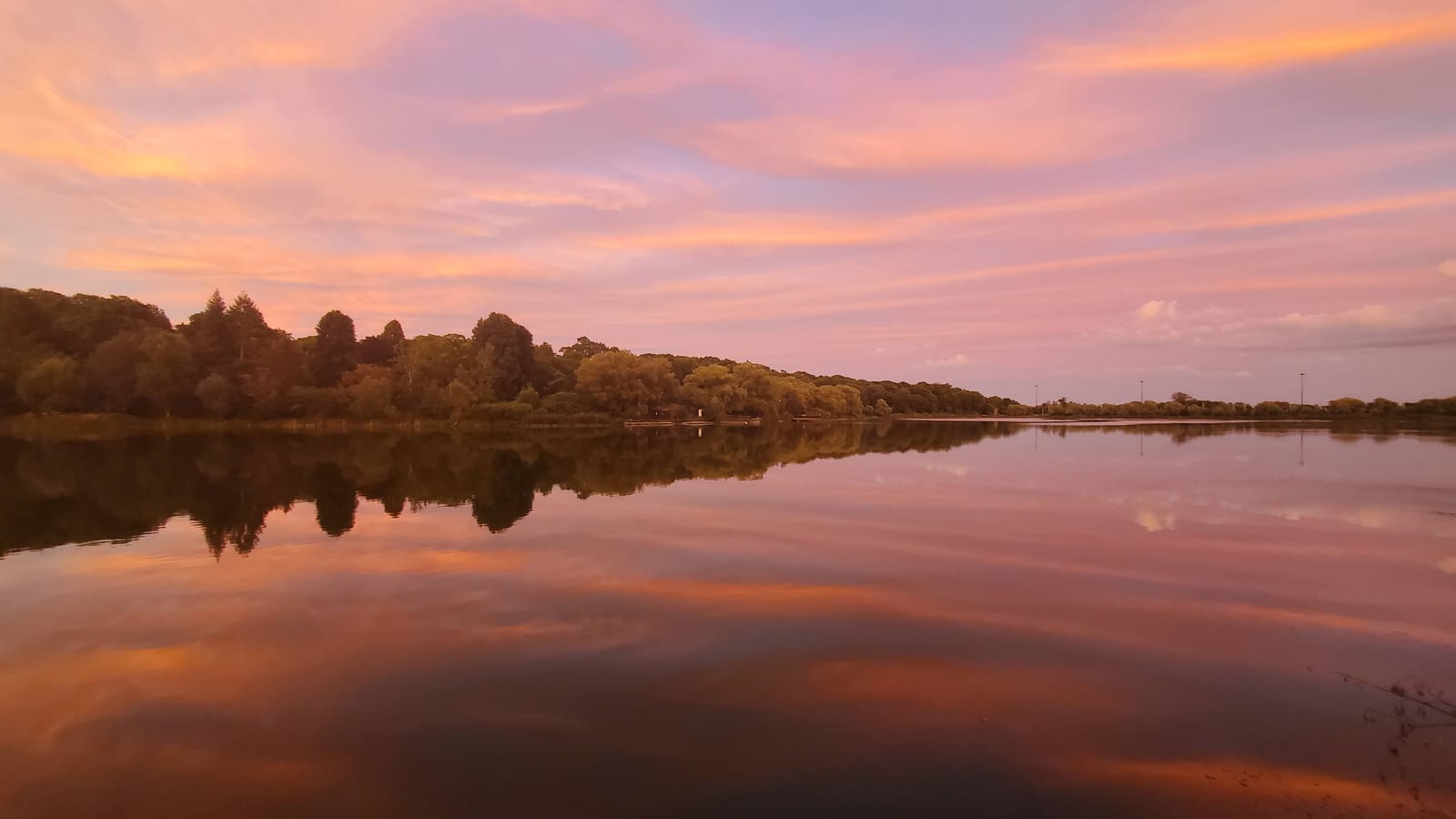 A pink and orange sunset sky mirrored in perfectly still water, a treeline splitting the frame